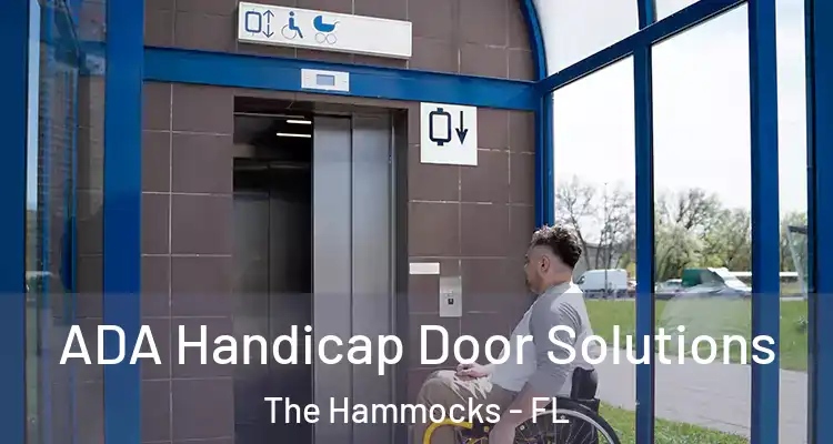  ADA Handicap Door Solutions The Hammocks - FL