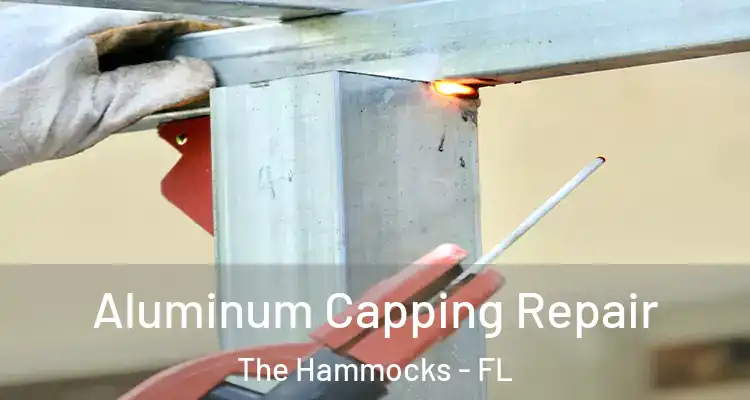  Aluminum Capping Repair The Hammocks - FL