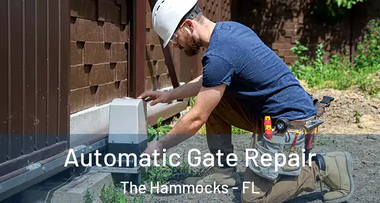  Automatic Gate Repair The Hammocks - FL