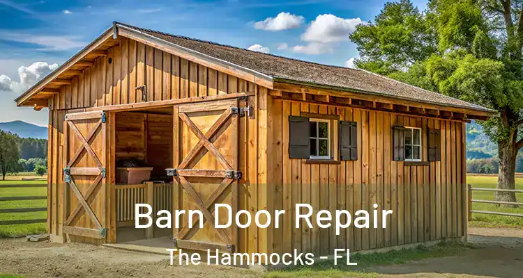  Barn Door Repair The Hammocks - FL