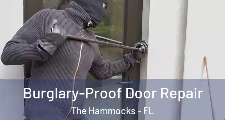  Burglary-Proof Door Repair The Hammocks - FL
