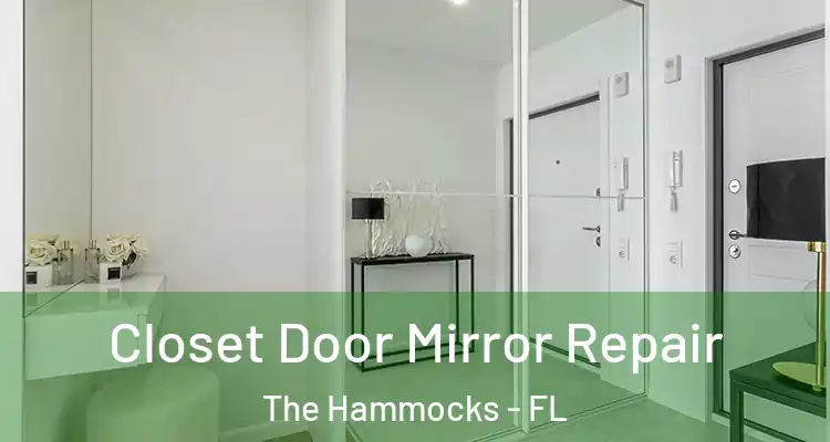  Closet Door Mirror Repair The Hammocks - FL