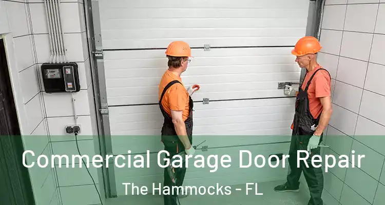  Commercial Garage Door Repair The Hammocks - FL