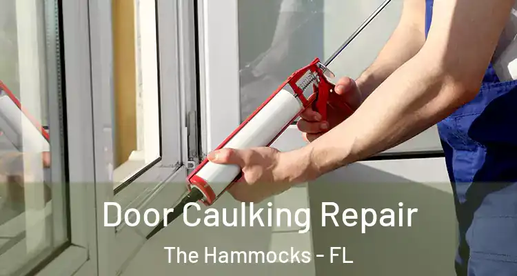  Door Caulking Repair The Hammocks - FL