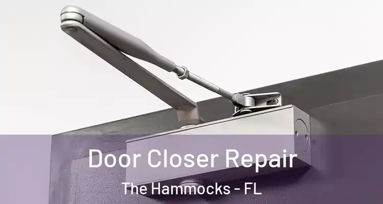  Door Closer Repair The Hammocks - FL