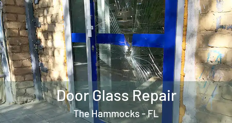  Door Glass Repair The Hammocks - FL