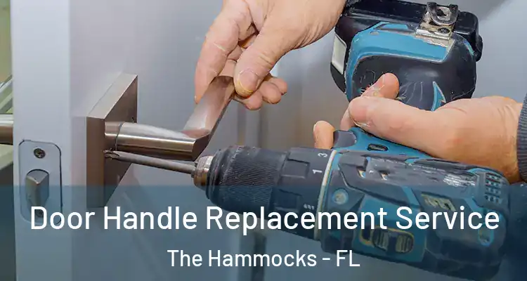  Door Handle Replacement Service The Hammocks - FL