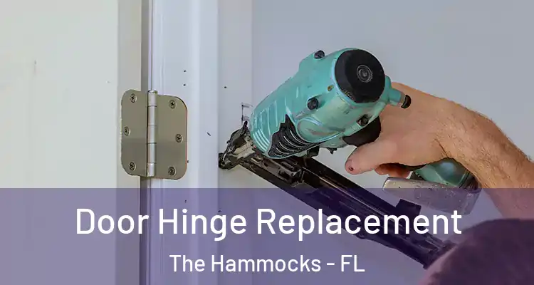  Door Hinge Replacement The Hammocks - FL