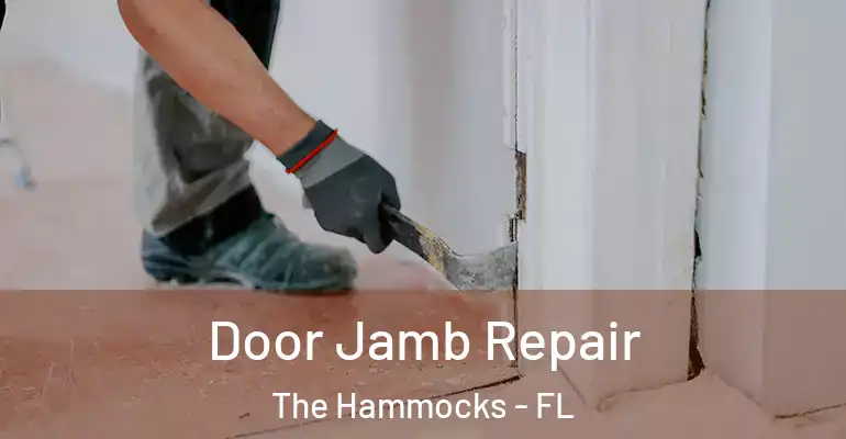  Door Jamb Repair The Hammocks - FL