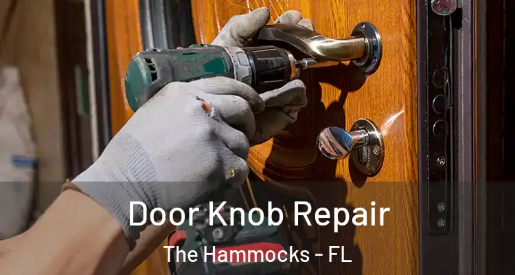  Door Knob Repair The Hammocks - FL