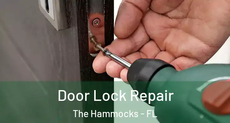  Door Lock Repair The Hammocks - FL