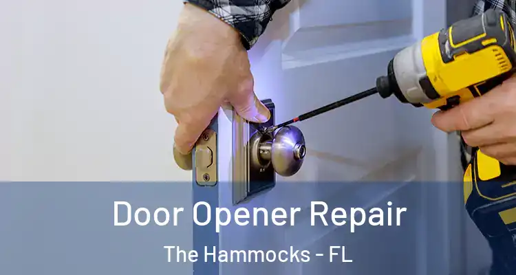  Door Opener Repair The Hammocks - FL