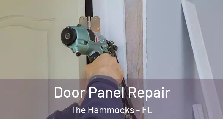 Door Panel Repair The Hammocks - FL