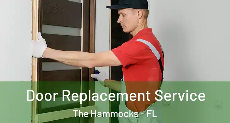  Door Replacement Service The Hammocks - FL