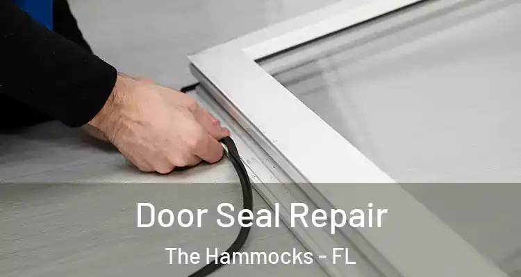  Door Seal Repair The Hammocks - FL