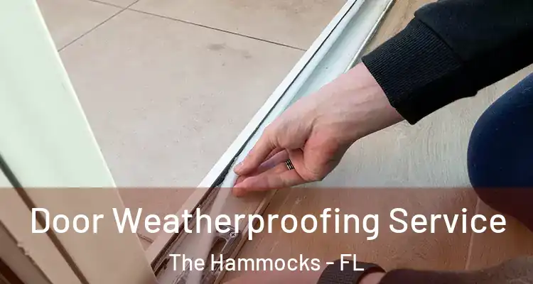  Door Weatherproofing Service The Hammocks - FL
