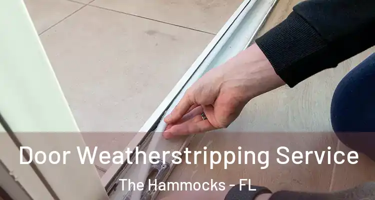  Door Weatherstripping Service The Hammocks - FL