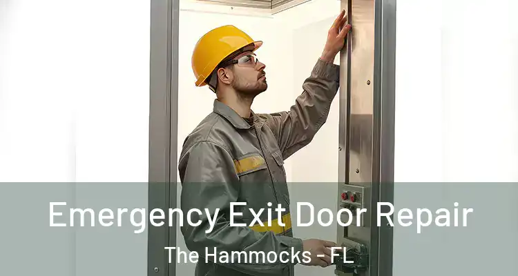  Emergency Exit Door Repair The Hammocks - FL