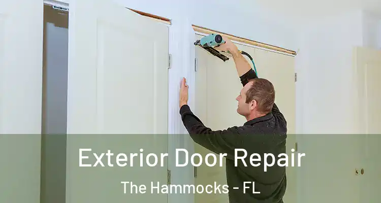  Exterior Door Repair The Hammocks - FL