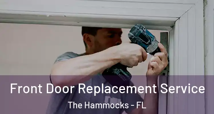  Front Door Replacement Service The Hammocks - FL