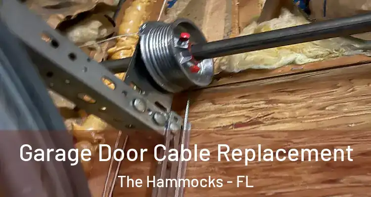  Garage Door Cable Replacement The Hammocks - FL