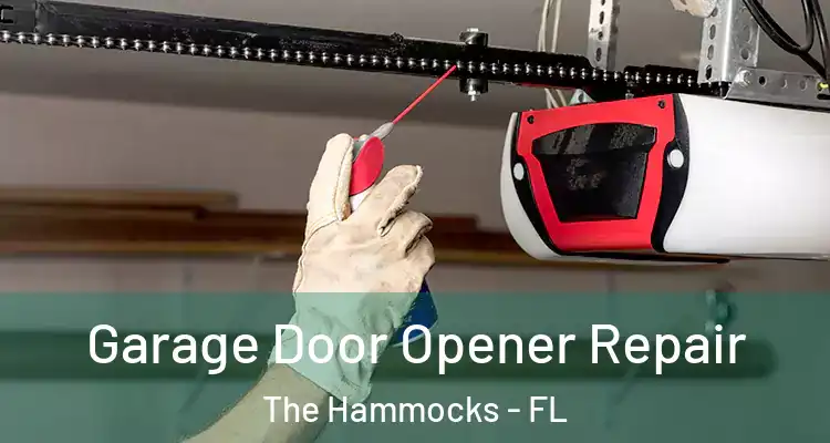  Garage Door Opener Repair The Hammocks - FL