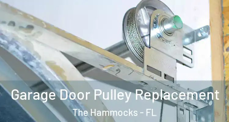  Garage Door Pulley Replacement The Hammocks - FL