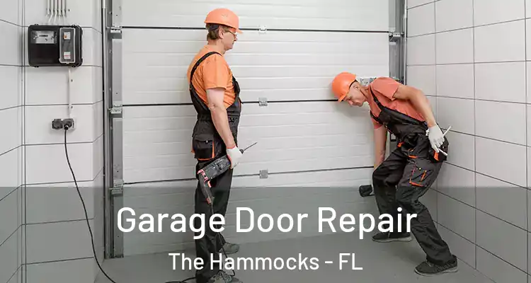  Garage Door Repair The Hammocks - FL