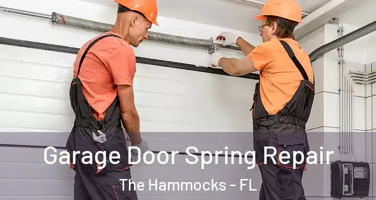  Garage Door Spring Repair The Hammocks - FL
