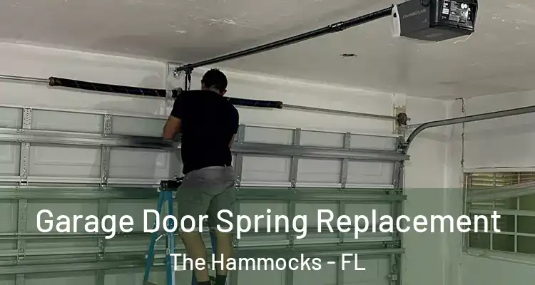  Garage Door Spring Replacement The Hammocks - FL