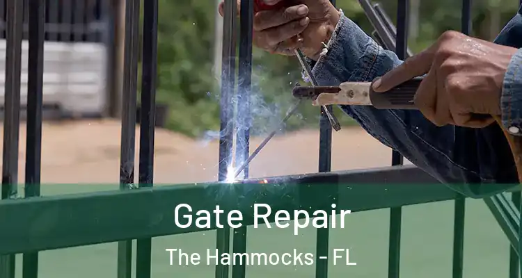  Gate Repair The Hammocks - FL