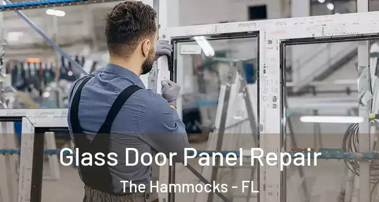  Glass Door Panel Repair The Hammocks - FL