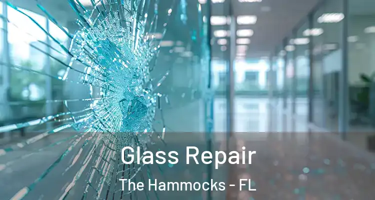  Glass Repair The Hammocks - FL