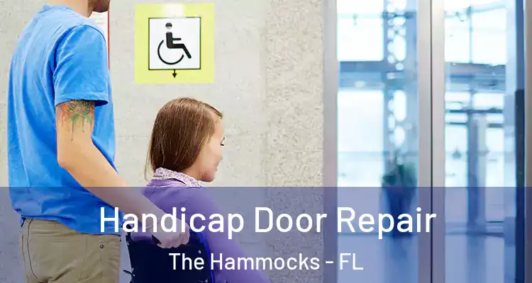  Handicap Door Repair The Hammocks - FL