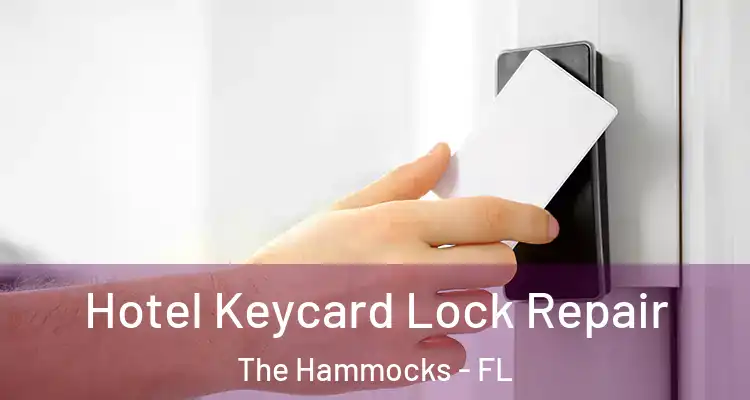 Hotel Keycard Lock Repair The Hammocks - FL