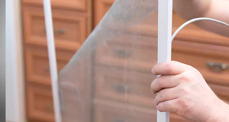 Privacy Mesh Screen Door Installation in The Hammocks, FL