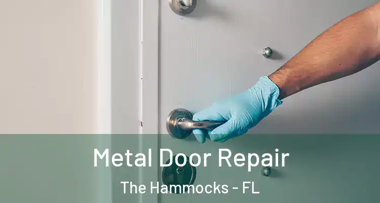  Metal Door Repair The Hammocks - FL
