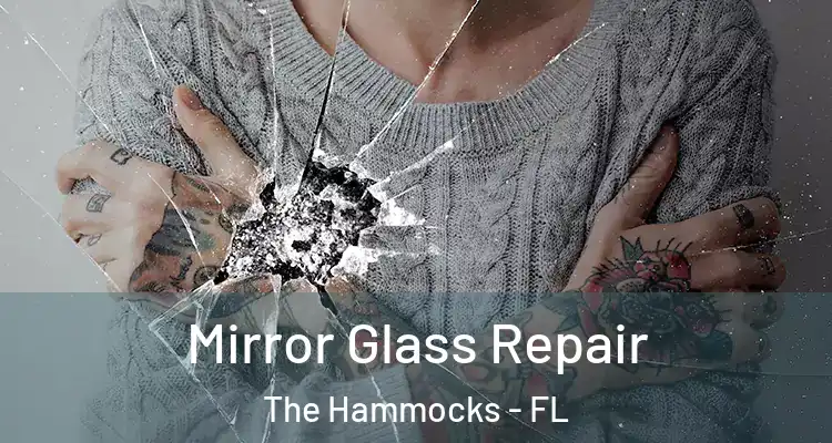  Mirror Glass Repair The Hammocks - FL