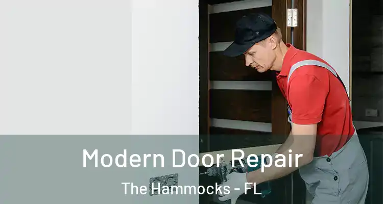  Modern Door Repair The Hammocks - FL