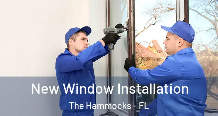  New Window Installation The Hammocks - FL