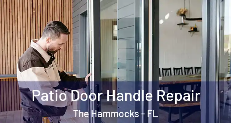 Patio Door Handle Repair The Hammocks - FL