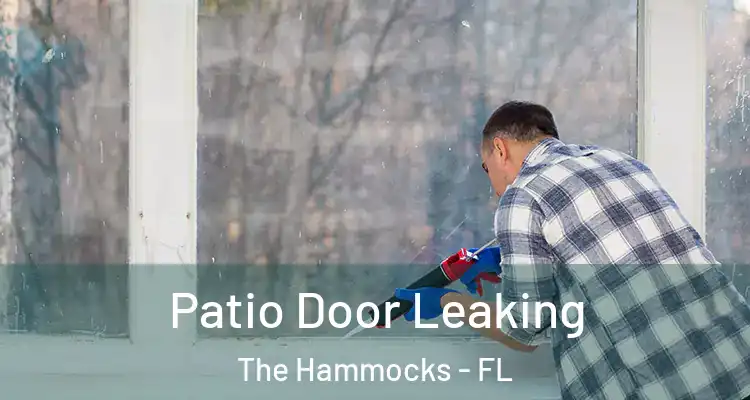  Patio Door Leaking The Hammocks - FL