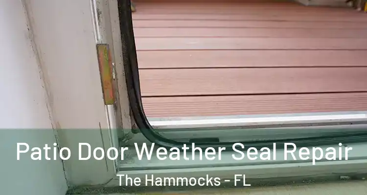  Patio Door Weather Seal Repair The Hammocks - FL