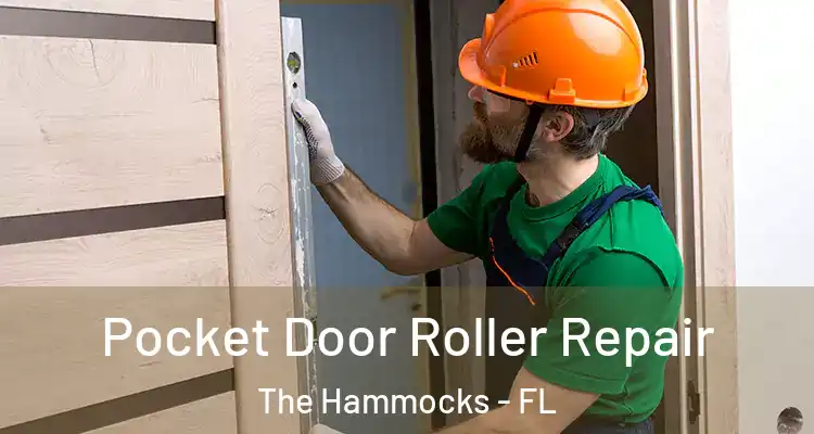 Pocket Door Roller Repair The Hammocks - FL