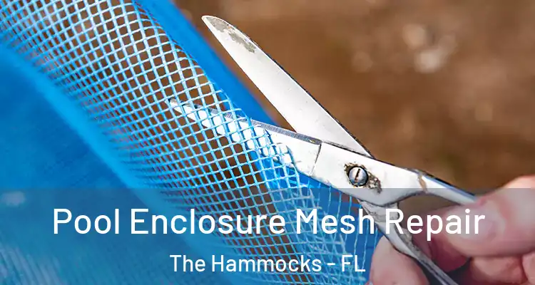  Pool Enclosure Mesh Repair The Hammocks - FL