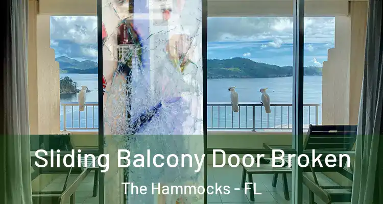  Sliding Balcony Door Broken The Hammocks - FL