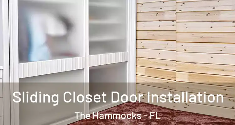  Sliding Closet Door Installation The Hammocks - FL