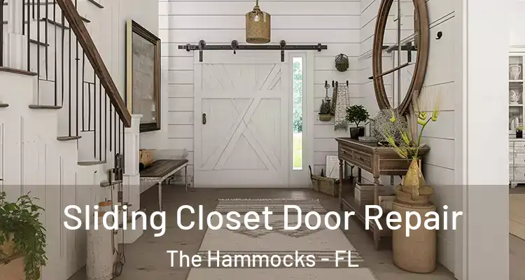  Sliding Closet Door Repair The Hammocks - FL