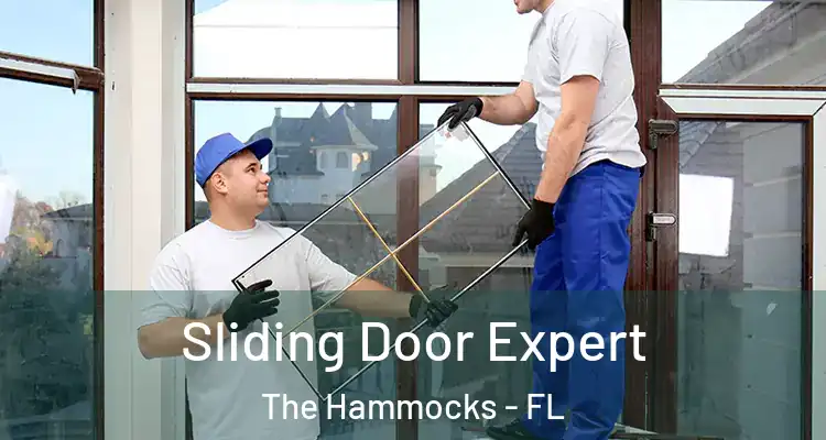  Sliding Door Expert The Hammocks - FL