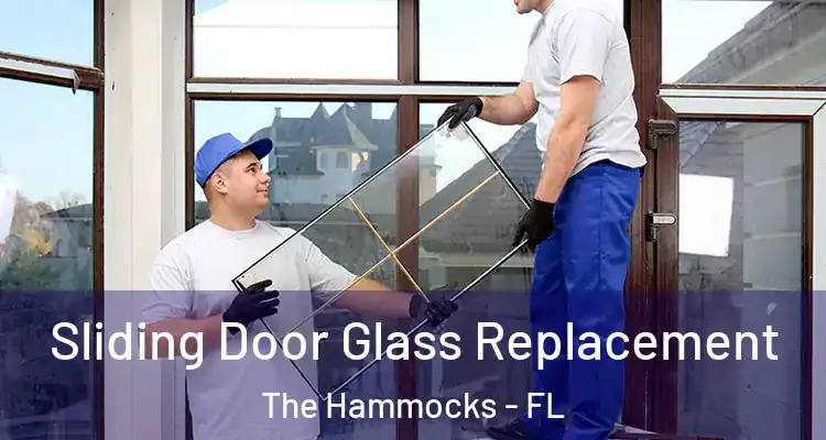  Sliding Door Glass Replacement The Hammocks - FL